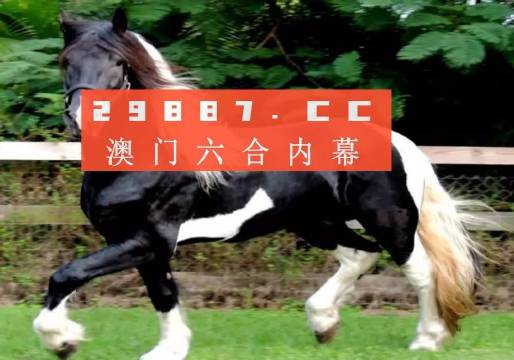 澳门与香港一肖一码一一特一中-精选解析解释落实