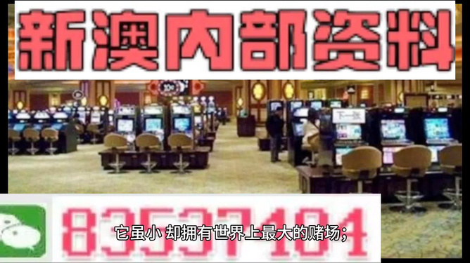 2024-205澳门与香港全年正版精准资料精准24码-精选解析解释落实