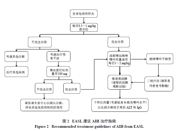 最新治疗肝病的研究进展与策略