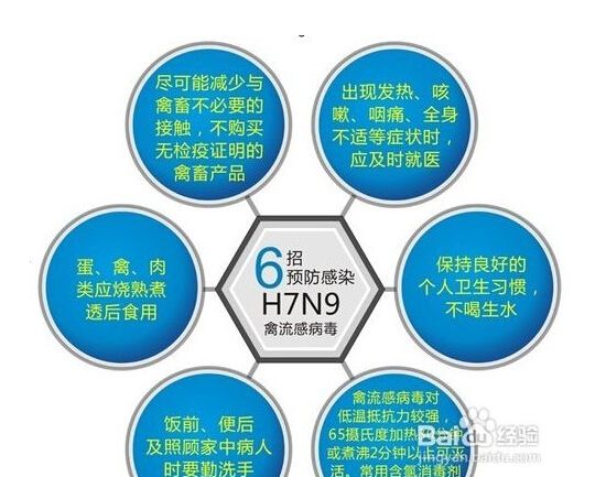 禽流感H7N9最新消息，全球防控形势与应对策略