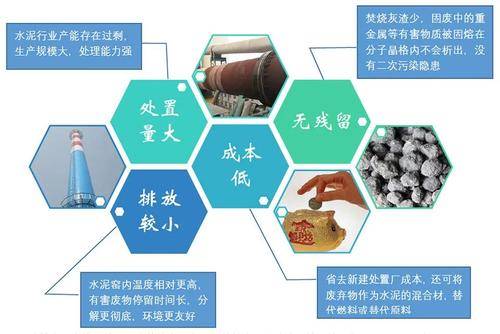 最新公共政策案例分析，城市垃圾分类政策实践研究