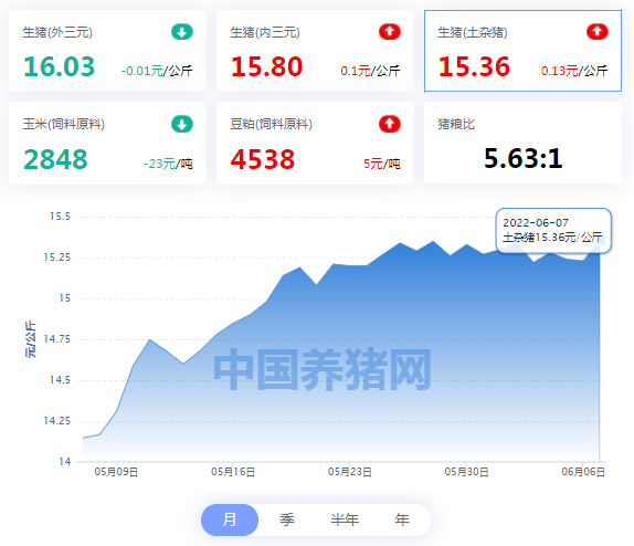 今日全国最新猪价行情分析