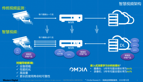 最新养殖视频，引领养殖业进入新时代