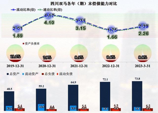 四川双马最新消息，持续引领行业发展的动力源泉