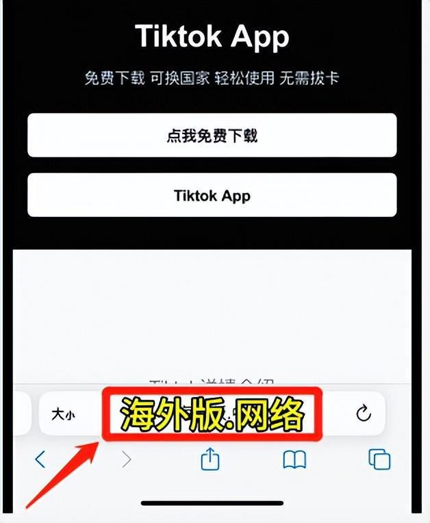 TikTok国际版下载最新指南