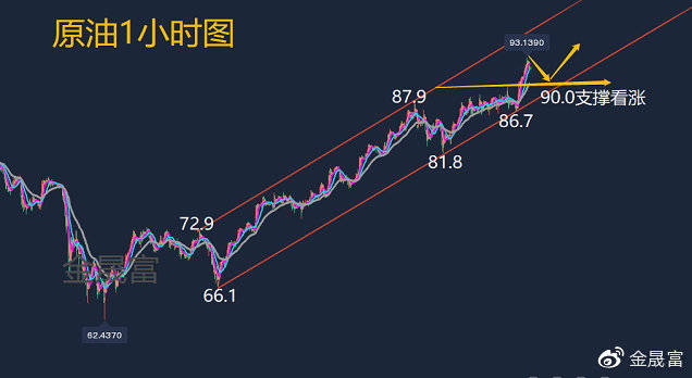 黄金原油最新动态，市场走势分析与展望