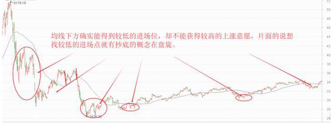 兔子行情市场最新价格分析与展望