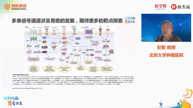 癌症治疗的最新进展，突破与创新的前沿领域