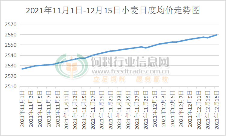 陕西小麦价格最新行情分析