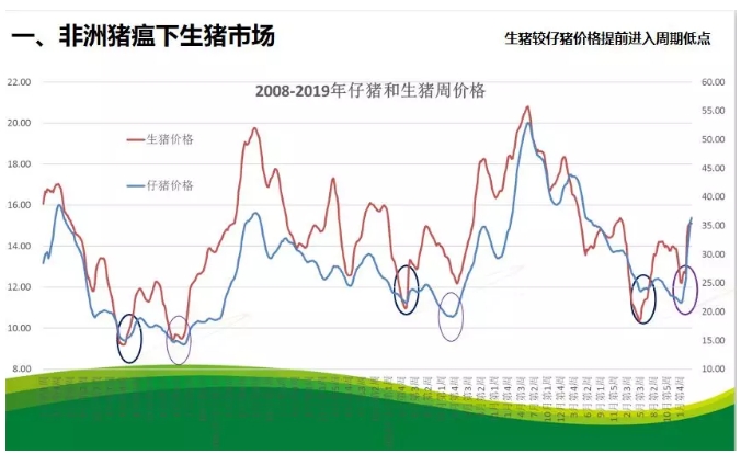 猪市行情最新动态，市场走势分析与展望