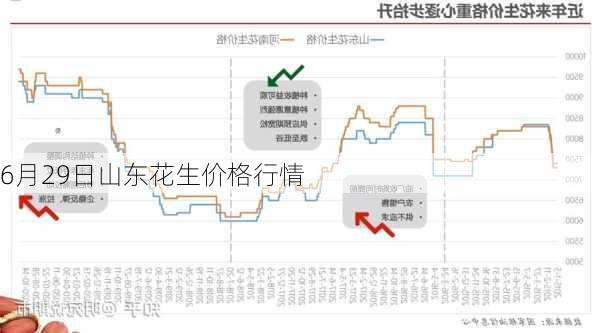 今日花生果最新价格，市场动态、影响因素及未来趋势