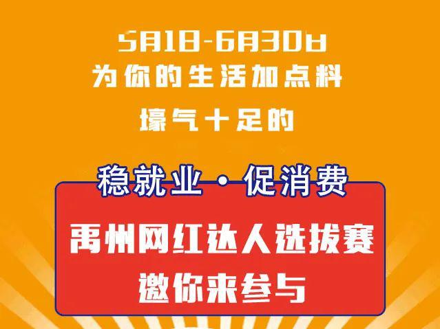 禹州最新招聘信息概览