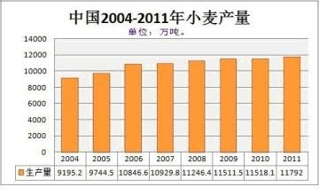 周口小麦价格最新行情分析