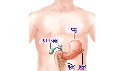 胆结石最新疗法，探索与创新的治疗手段