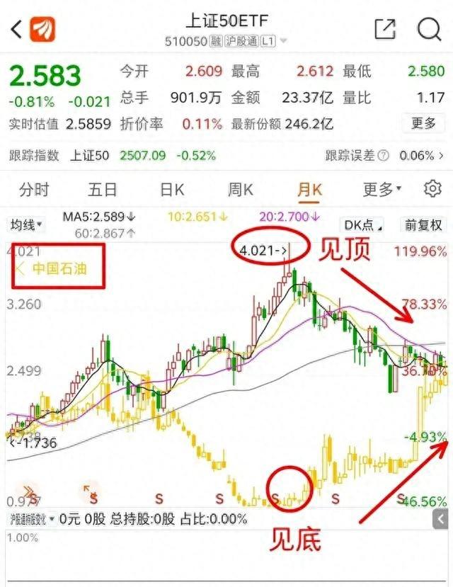 股票最新公告，市场动向与投资者应对策略