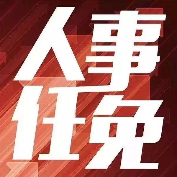 曲靖最新人事任免动态