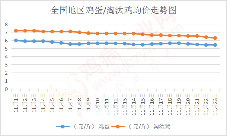 今天淘汰鸡最新价格及分析