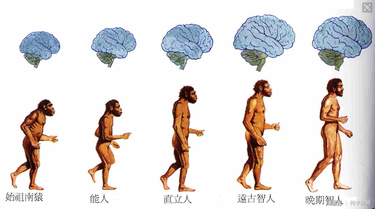 最原始的欲望与最新的追求，人类不断进化的动力源泉