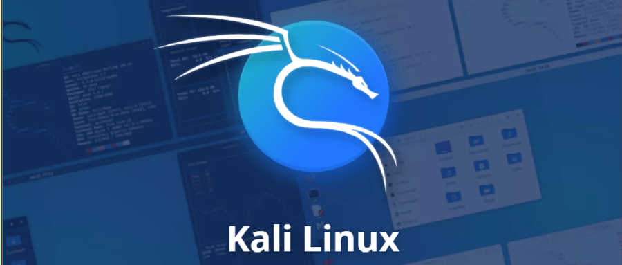Kali最新，探索数字世界的尖端工具