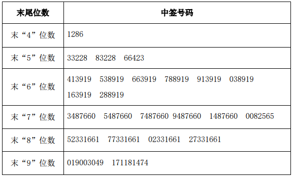 最新中签新股，投资者的幸运与策略