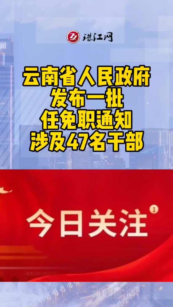 云南省最新人事任免动态