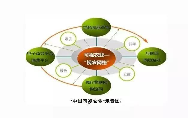 最新种子神器，农业科技的革命性突破