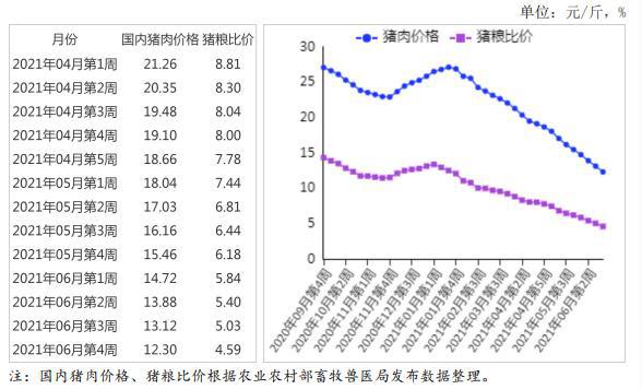 最新猪价消息与市场趋势分析