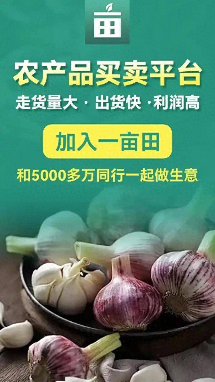 一亩田最新报价——农业投资的新机遇