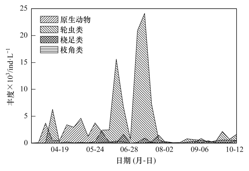 赣榆青口最新招聘动态及其影响