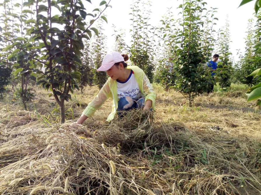 探索小草社区，最新地址引领全新体验