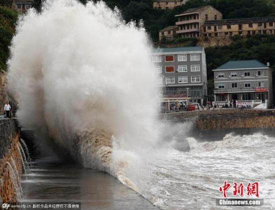 浙江台风网最新消息，台风动态与应对措施