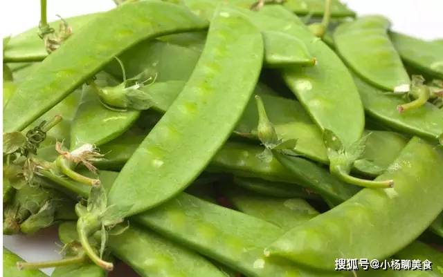 豌豆最新价格动态分析