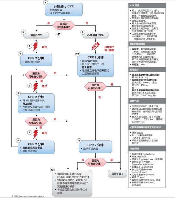 最新CPR操作流程详解