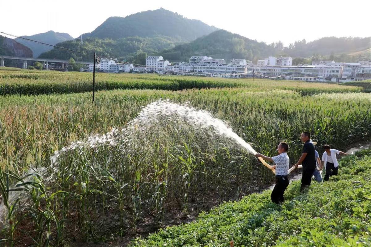 今日竹山新闻最新消息综述