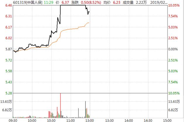 熊猫金控最新消息全面解析