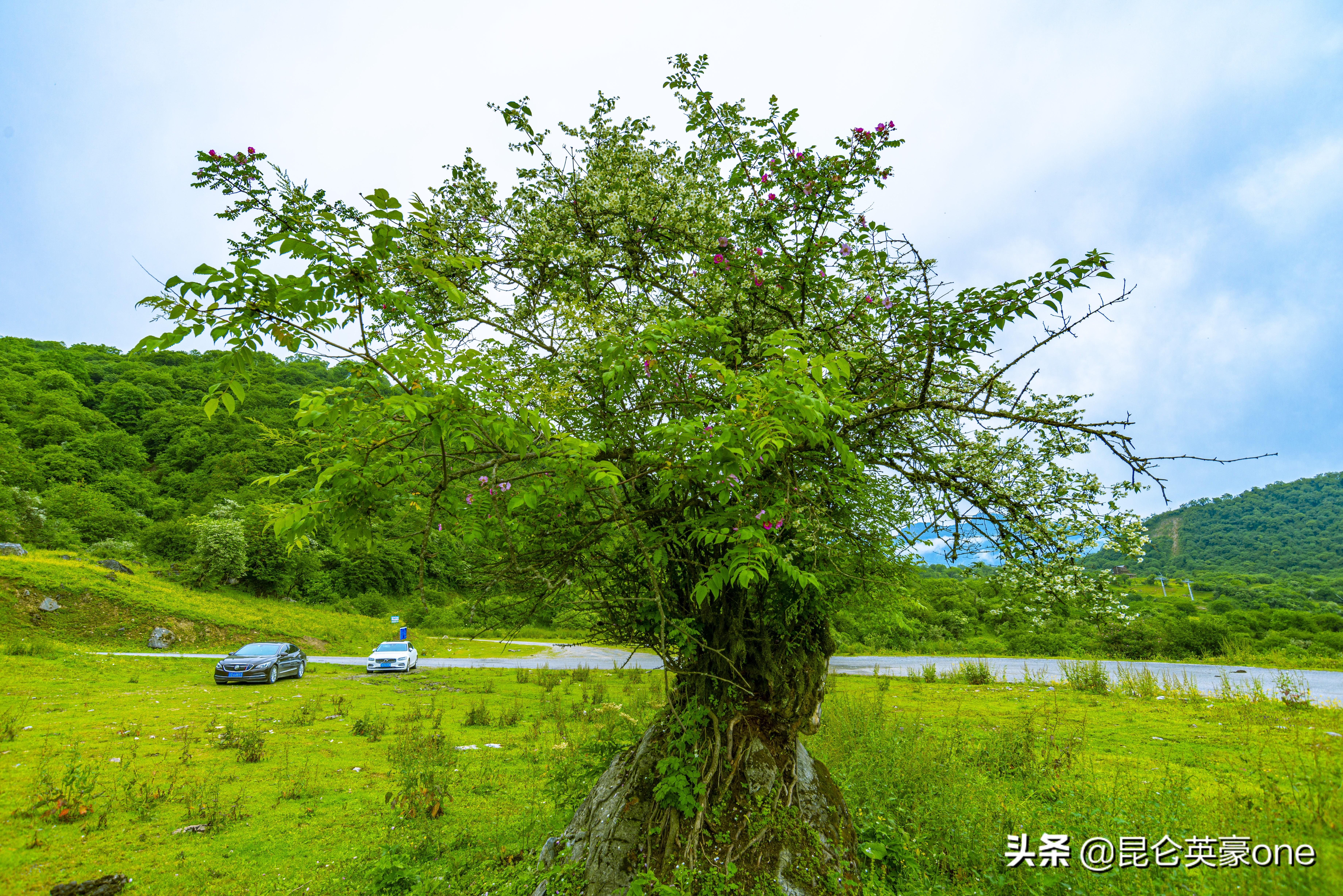 茂县路况最新情况全面解析