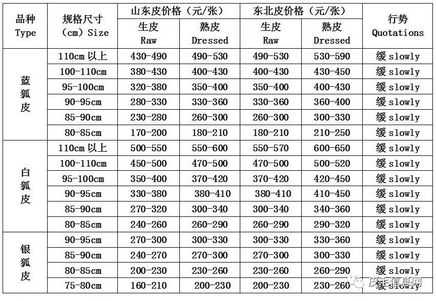 貉皮尚村最新价格动态分析