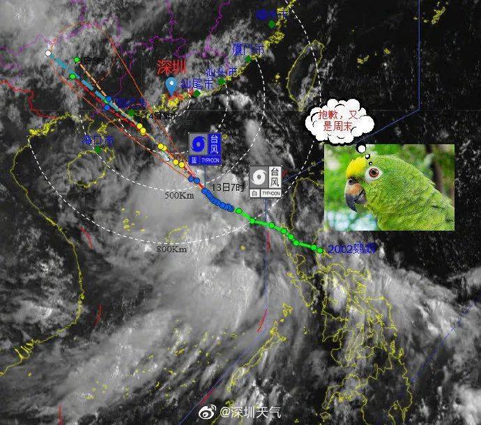 台风最新消息鹦鹉路径及其影响分析